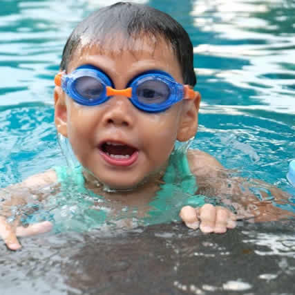 jardin-aquatique-saint-palais-pays-basque